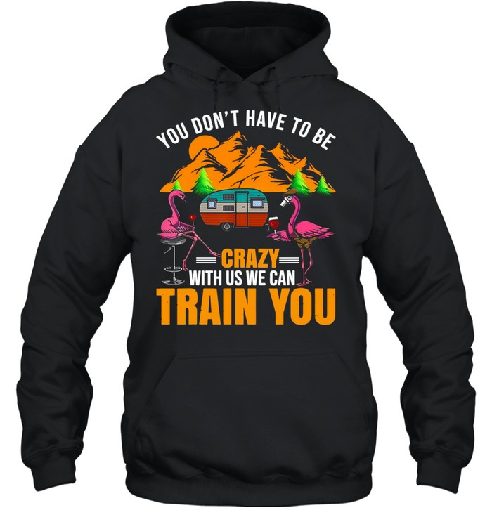 Flamingo You Don’t Have To Be Crazy With Us We Can Train You Camping T-shirt Unisex Hoodie