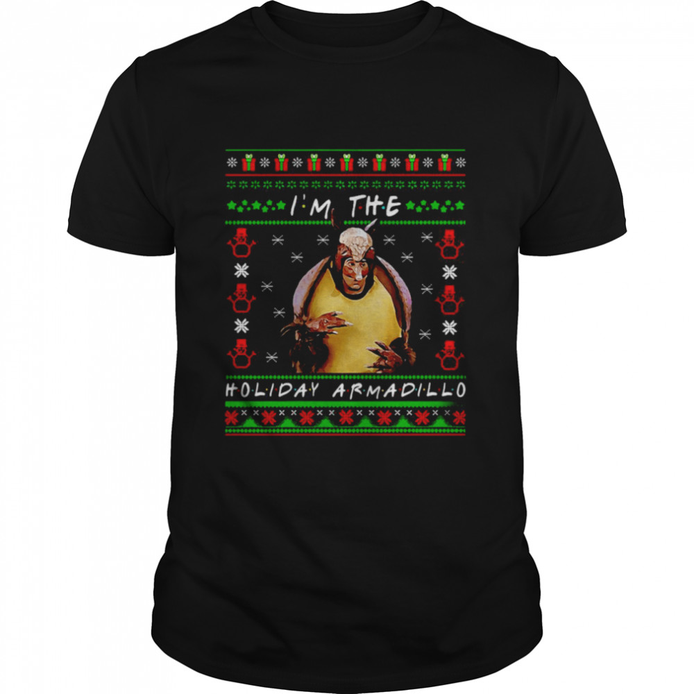 friends holiday armadillo sweater