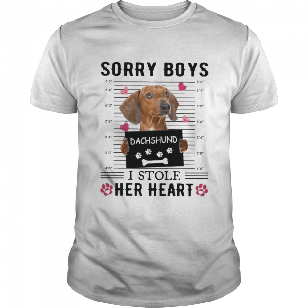 Dachshund Sorry Boys I Stole Her Heart Shirt