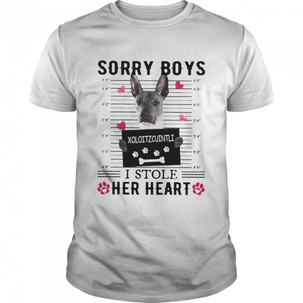 Xoloitzcuintli Sorry Boys I Stole Her Heart Shirt